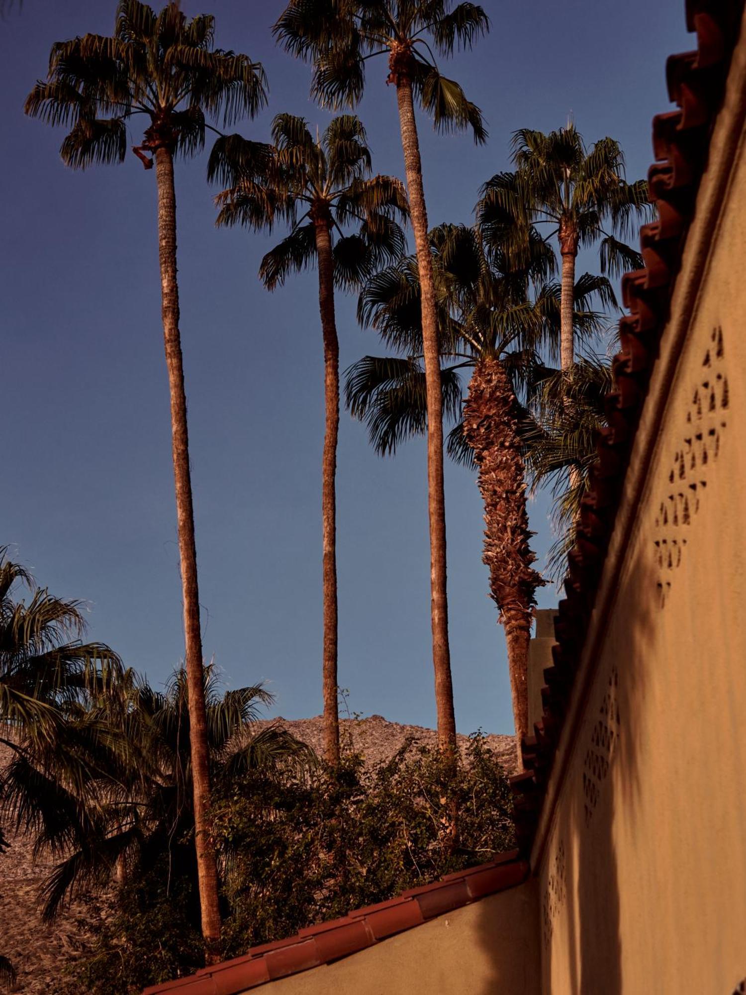 The Willows Palm Springs Exterior foto