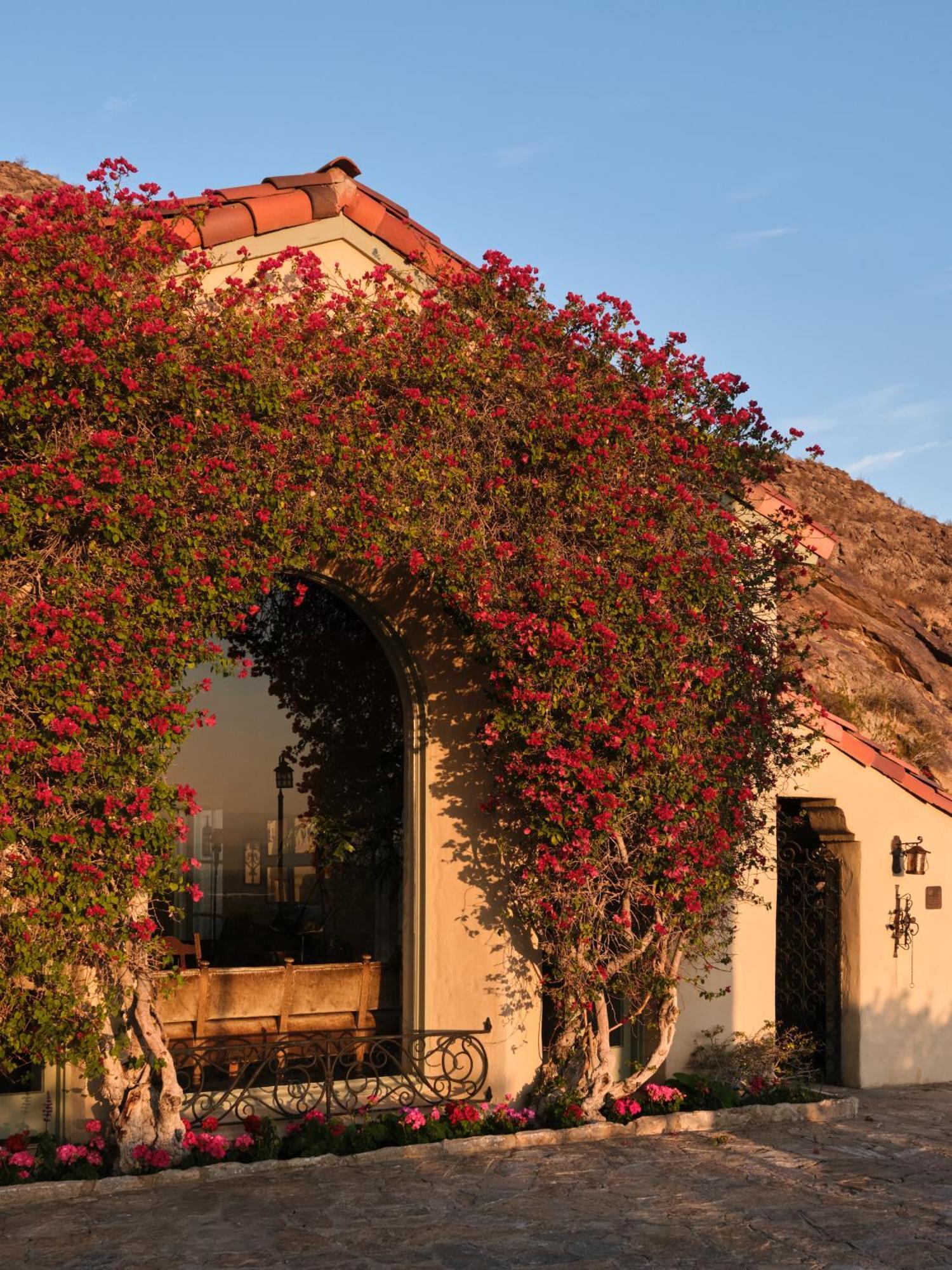 The Willows Palm Springs Exterior foto